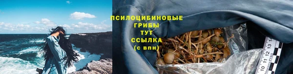 таблы Белокуриха